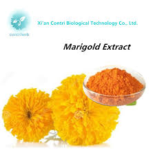 Liquid extract ( 1:2 ) : China Natural Xanthophyll Lutein Marigold Flower Extract China Marigold Xanthophyll