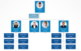 How To Add Org Chart Colors That Fit Your Brand Org Chart