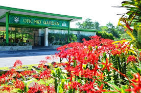 The apartment is made up of 8 rooms. Dbku Orchid Garden Kuching Visit Sarawak