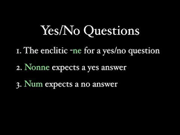 Yes And No Questions In Latin This Or That Questions Latin English Words