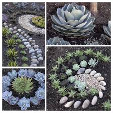 Pin By Luceo Uro On Backyard Pinterest Front Yard Landscaping Yard And Yard Landscaping