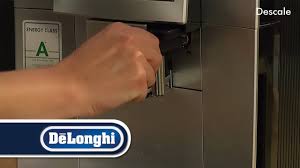 Check spelling or type a new query. De Longhi How To Descale Perfecta Esam5600 Youtube