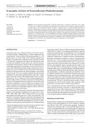 Image result for Neoholstia tenuifolia