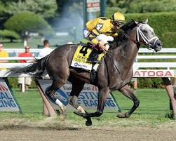 Cross Traffic Spendthrift Farm Thoroughbred Stallion Farm Thoroughbred Santa Anita Park Horse Racing