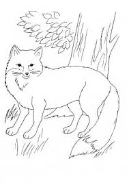 1231189699 Imav012 Jpg 318 450 Fox Coloring Page Unicorn Coloring Pages Super Coloring Pages