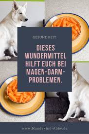Wundermittel Morosche Mohrensuppe Fur Mensch Und Hund Hundekind Abby Hundeblog Hunde Ernahrung Hunde Hundeerziehung Tipps