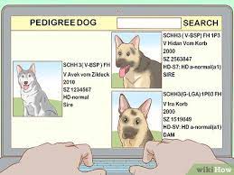 3 Ways To Read A Dog's Pedigree - Wikihow Pet