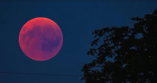 It's been more than two years since the last total lunar eclipse—but that drought will come to an end on wednesday with the arrival of the super flower blood moon. this total lunar eclipse will happen in the early morning of may 26 for viewers in western north america and far southern south america. Cllzywikrgw8em