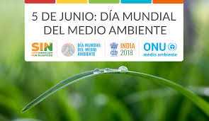 El lema a nivel nacional este año del día del medio ambiente es 'la acción ambiental en marcha', un poco para impulsar esto de que ya se acabó el tiempo de las palabras, ahora llega el. Celebremos El Dia Mundial Del Medio Ambiente