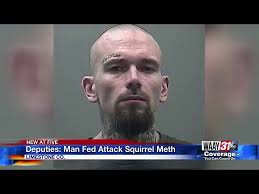 Meth Addicted Squirrel