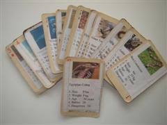 Choose the parts in your game. Make A Card Game