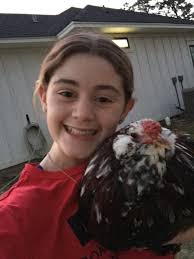 ERMINE AMERACAUNA?! In SWFL?! 😂 So thankful for the new friendships across  homesteads and breeders. All walks of life with similar interests and  ideals. Homesteading brings the community together 💗 Thank you!