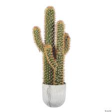 This also depends on the species and. Vickerman 36 Artificial Green And Yellow Cactus Plant Oriental Trading