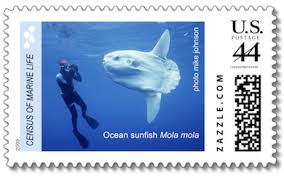 Click and drag to explore the map, or use the controls below the map. Census Of Marine Life Us Postal Stamps The Rockefeller University Program For The Human Environment