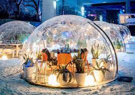 Aura Classic Canamdomes