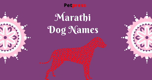 After all, this is a name that. 120 Best Marathi Dog Names Popular Male Female Marathi Dog Names Petpress