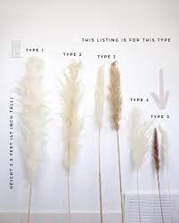 Pampas Grass Type 5 Bleach White Etsy In 2021 Bohemian Wedding Flowers Grass Decor Plant Decor