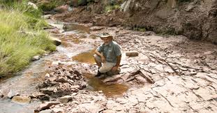 How to find a dinosaur