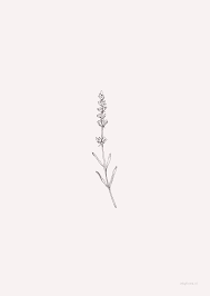 Flowers Lavender Pink Lavender Tattoo Lilac Tattoo Small Flower Tattoos