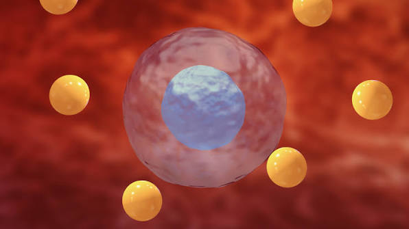 Oxidative stress: how to fight it naturally