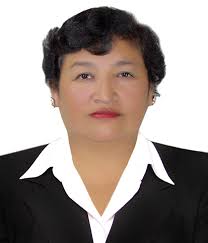 Directorio de Recursos Humanos afines a la CTI