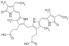 Bilirubin Wikipedia