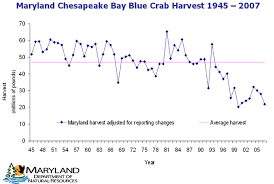 lost on the shore chesapeake bay