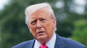 Canmore mourns unusual friendly elk who befriended dogs and magpies