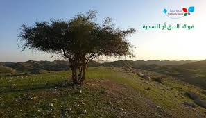 pin on صحة جمال