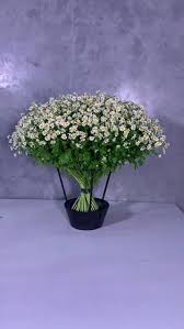Now $71 (was $̶1̶1̶1̶) on tripadvisor: Naomi Mcelynn Director Wholesale Flowers Distribution Linkedin