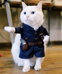 Policeman Cat Costume Cats Cat Costumes Cat Halloween Costume