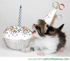 You can read the instructions or you are welcomed to just watch the video i put together about how i made it. Birthday Kitty Just Cute Animals Cat Birthday Kitten Birthday Cute Baby Cats