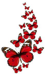 Red Butterflies Vector Png Clipart Butterfly Pictures Butterflies Vector Red Butterfly