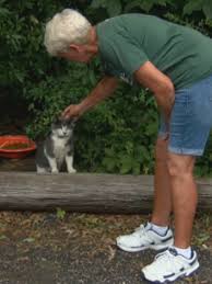 Our neighborhood has a bunch of stray cats and at first when we moved here it wasn't a problem. Feral Cats Causing Issues In Murrells Inlet Wpde