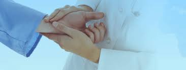 Discover trends and information about pt. Contact Us