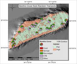 5 spatial projection of random transect study results each