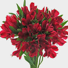 This year we focus on making bouquets. Red Alstroemeria Flowers Wholesale Blooms By The Box