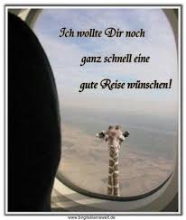 Urlaub Witzige Bilder Lustige Bilder Lustige Giraffe