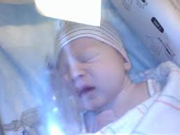 Alina's Adventures: Atlanta