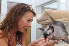 Cat hotel checks in to Barry Island