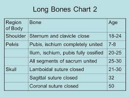 Forensic Anthropology Ppt Video Online Download