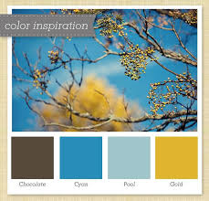 Check spelling or type a new query. Brown Blue And Gold Color Palette Brown Color Schemes Blue Color Schemes Gold Color Palettes