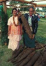 Fast & succulent cooking of yams, taro, sweet potatoes, beef and lamb by tongan brothers sam hale, lousi afu &. Yam Vegetable Wikipedia
