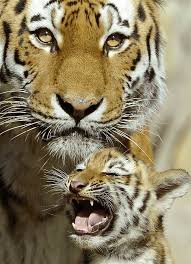 Pin On Ukka Co Travels