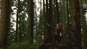The second film in the wildly popular twilight franchise was no. The Twilight Saga New Moon 2009 Imdb