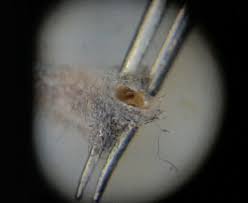 Image result for site:byggahus.se Macro