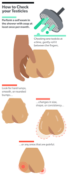 How To Check For Testicular Cancer - Ro Man