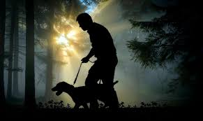 Travelers are often caught by surprise when they discover that many national parks do not allow dogs on the trails. Are National Parks Dog Friendly Guidelines From America S Top Parks