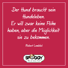 Lustiger Hundespruch
