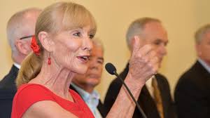 Former mayor, councillor join candidates in election race